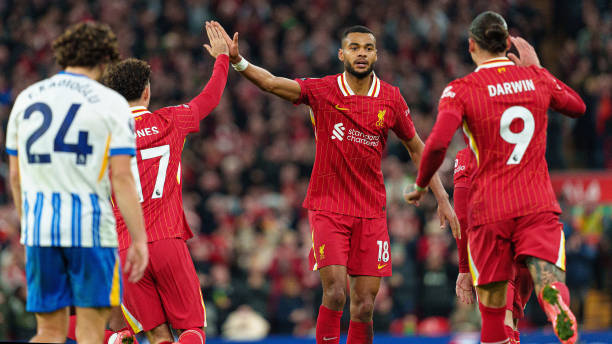 不仅展示了 不仅展示了